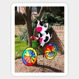 Cycling cow Sticker